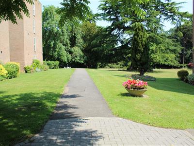 Picture 9